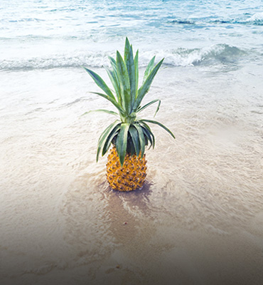 Pineapple On Separate Beach In Israel